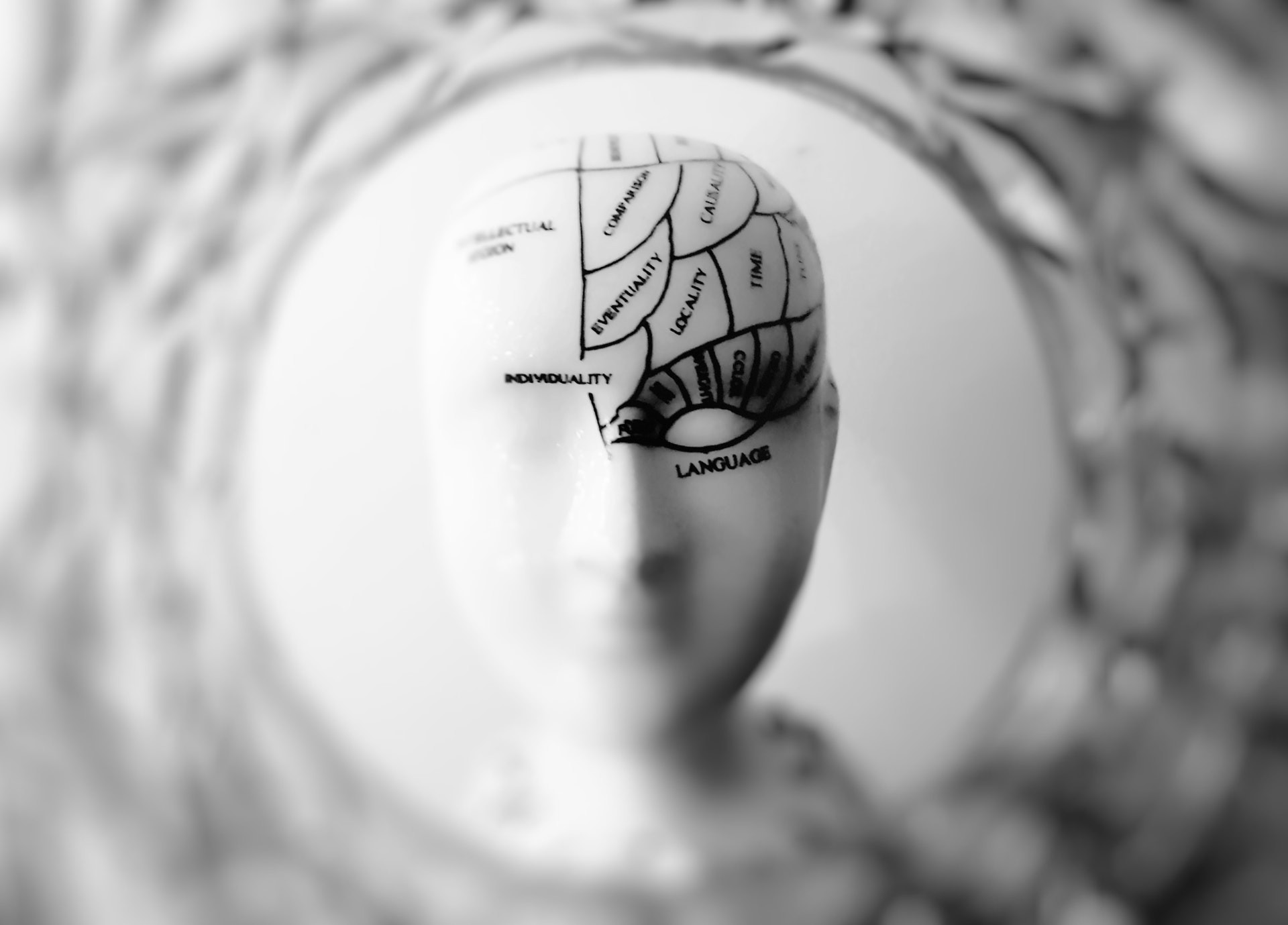 abstract picture of human head